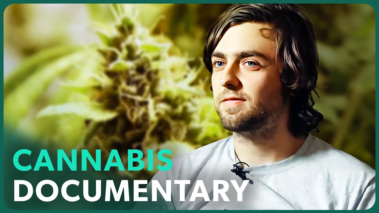 Grassroots: The Cannabis Revolution (Medical Documentary) | Real Stories