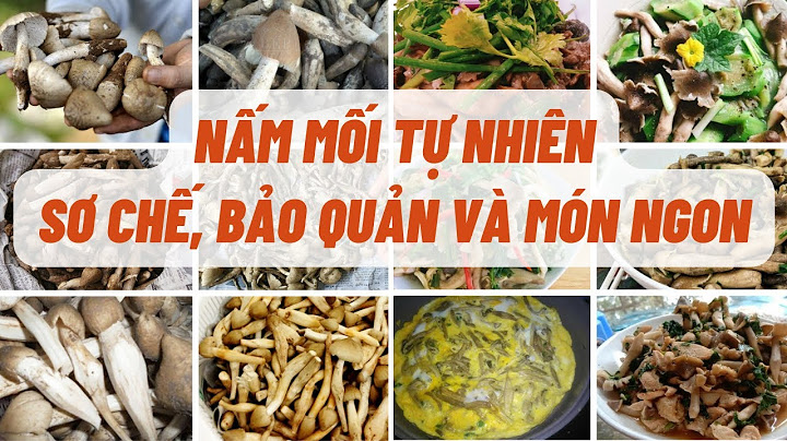 Chế biến các sản phẩm từ nấm như thế nào năm 2024