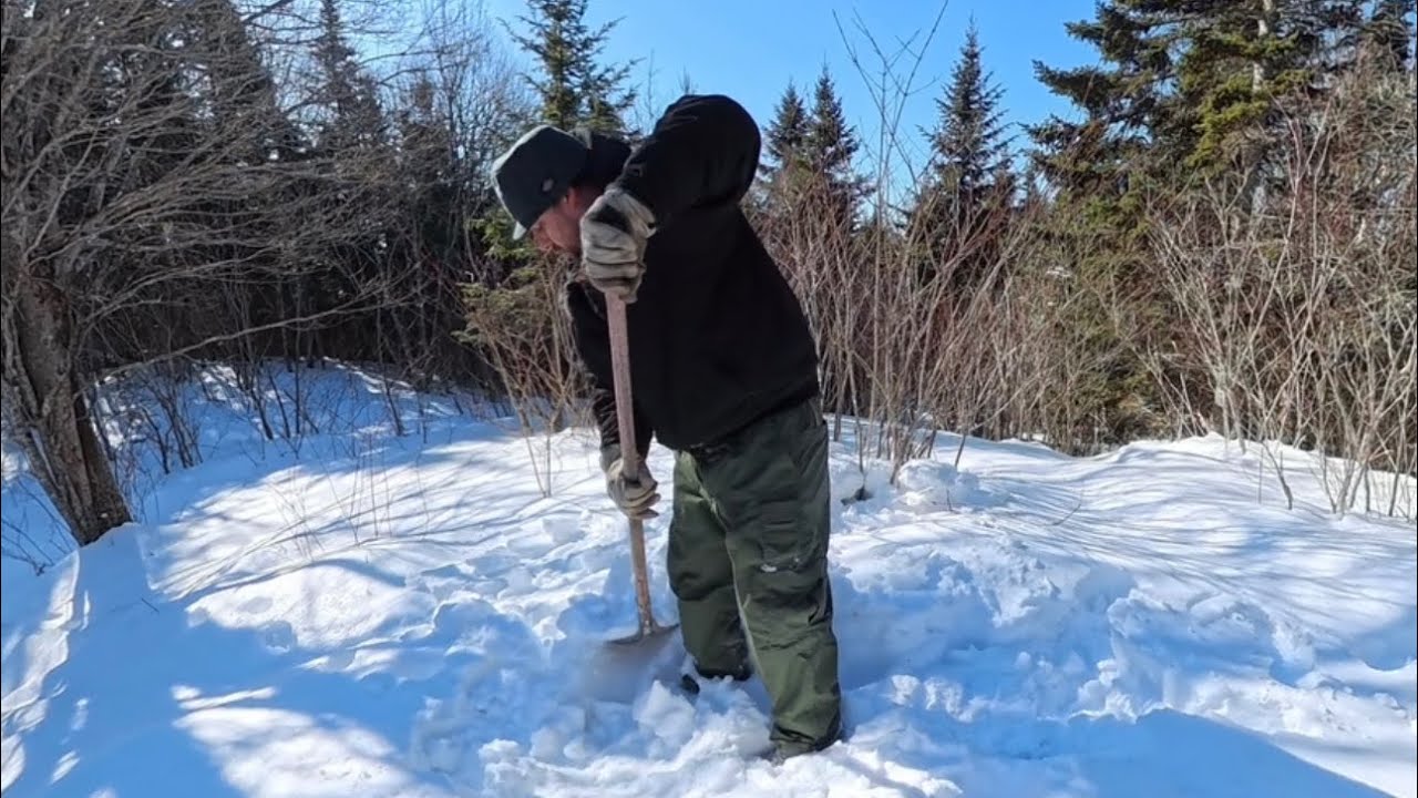 When the Trail Turns: Snowdog Testing & Global Reality Check