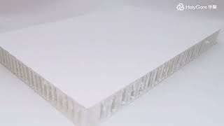 Thermoplastic fiberglass honeycomb panel-HolyPan