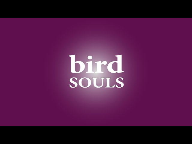bird / SOULS｜大沢伸一 MONDO GROSSO デビュー曲 - YouTube