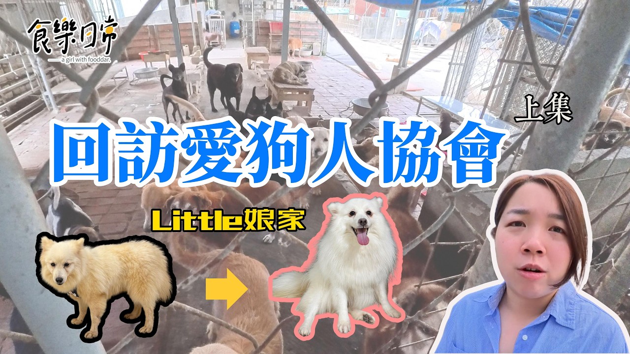 你願意對浪浪伸出援手嗎?/日常番外篇/愛狗人協會/流浪貓貓狗狗需要你的幫助