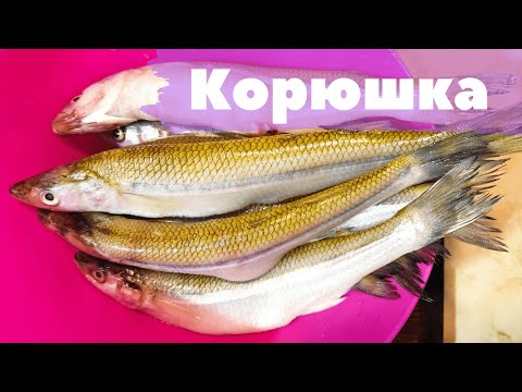 КАК ВКУСНО И ПРОСТО ПРИГОТОВИТЬ КОРЮШКУ