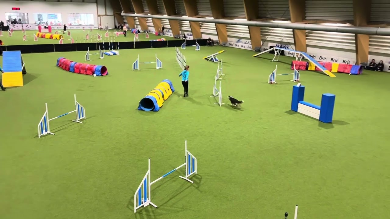 1st Qualification for Czech Championship, EO and AWC