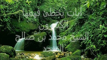 آيات يخطئ فهمها الكثيرون للشيخ محمد المنجد