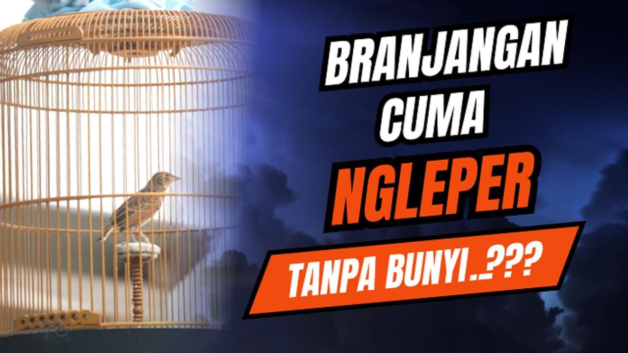 PENYEBAB  Dan SOLUSI BRANJANGAN NAKAL, NGERUJI, HANYA NGLEPER..PAKAI CARA  INI... #rawatanbranjangan