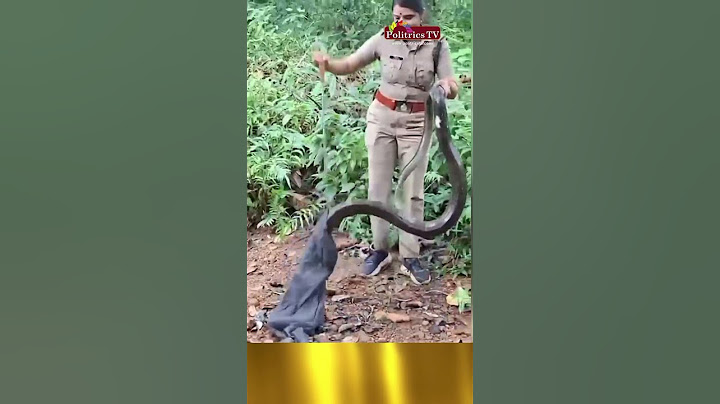 தனி ஆளா 17 feet ராஜநாகத்தை பிடித்த  IRON லேடி !#snake  #womanpolice  #Karala #viral #kingcobra