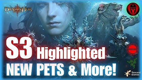 🔥 HUGE Season 3 Update! PETS, VORTEX, NEW HEROES & ITEMS Coming SOON! | Dragonheir: Silent Gods