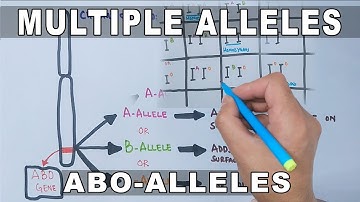 Multiple Alleles