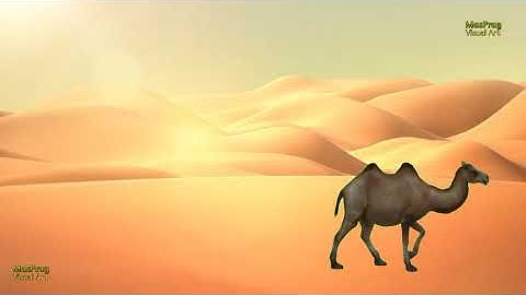 Free Video Background Camel Walking on The Desert | Desert Video | Camel Animation