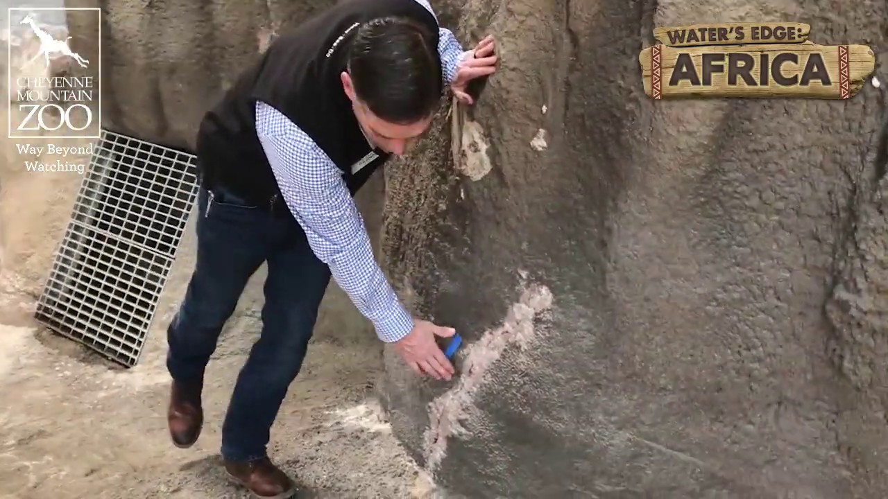 Water's Edge: Africa Construction Update #12 (February 18, 2020)