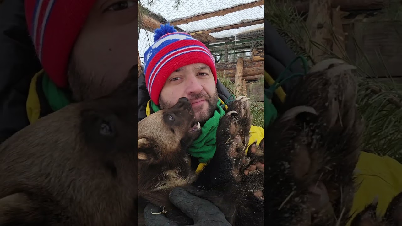 Gugu Wolverine❤️