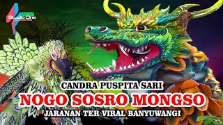 JARANAN NOGO SOSRO SEMBUR API