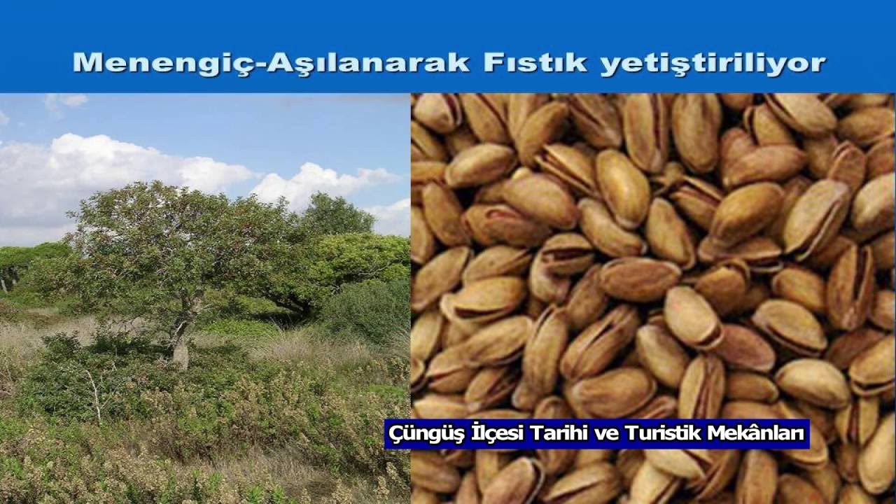 Çüngüş İlçesi Tarihi ve Turistik Mekanları