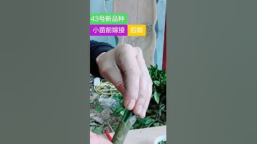 # Cảm ơn bạn chính thức # hướng dẫn nâng cao # phương pháp quản lý # công nghệ nâng cao