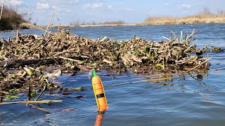 Bobber Fishing a Marshy River!! (Kayak Fishing)