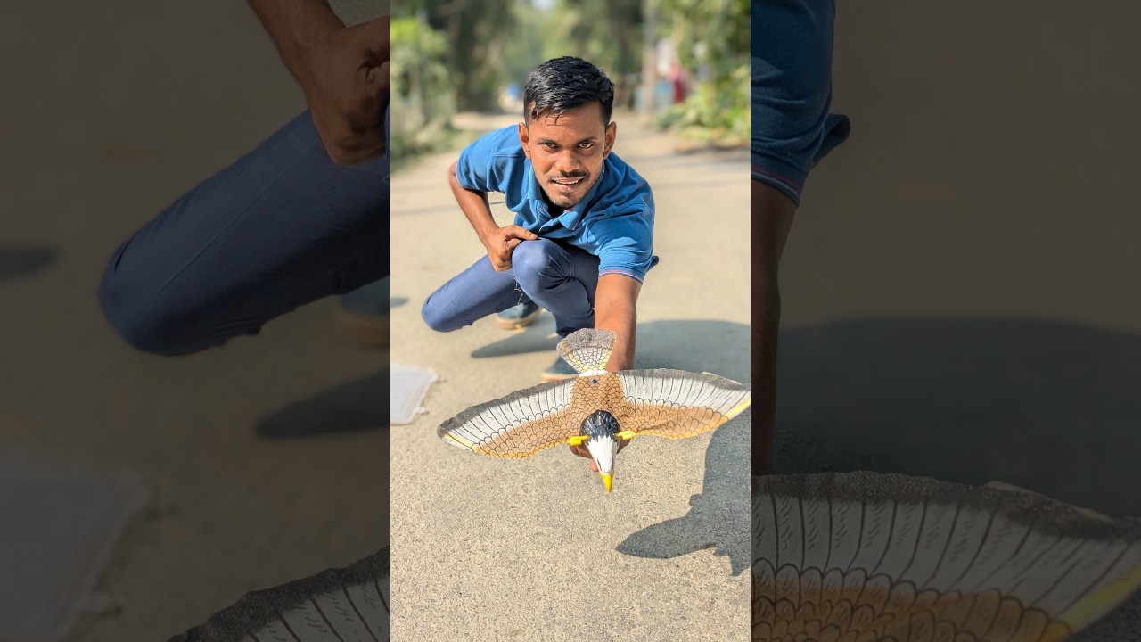 Flying Bird and  Unboxing and Testing 😠