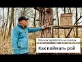 КАК ПОЙМАТЬ РОЙ. ИЛИ КАК ЗАРАБОТАТЬ/РАЗБОГАТЕТЬ НА ПЧЁЛАХ