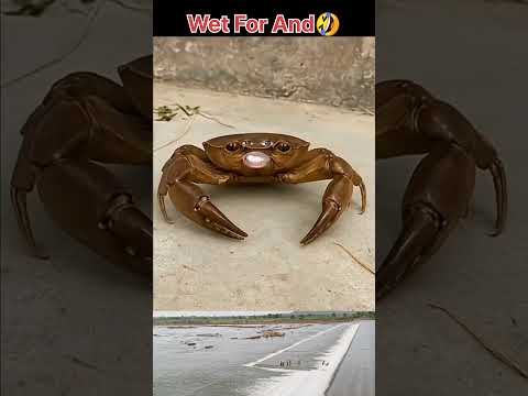 मौत को छू के टक से वापस #shorts #youtubeshorts