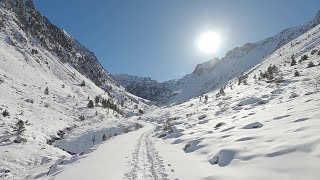 Vallon De La Glère Raquettes Collar Stays On Massive Attack