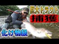 50年に1度レベルの雨の中釣れるのか⁉️