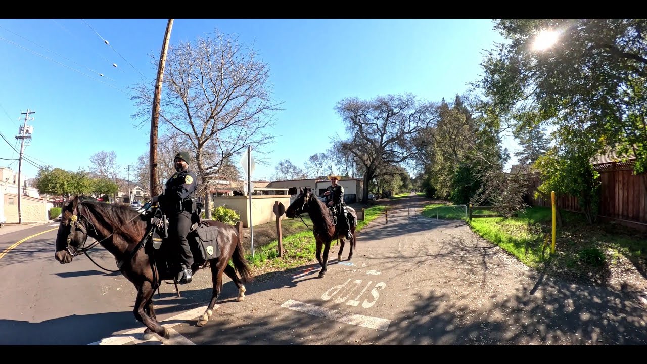 Iron Horse Trail | Pleasant Hill/Contra Costa Centre BART-Danville Station | Cycling POV 4K