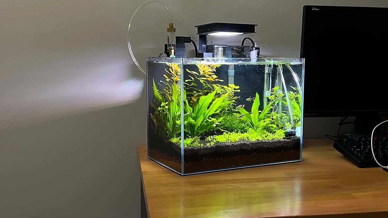 WaterBox Clear 6 Rambling YouTube