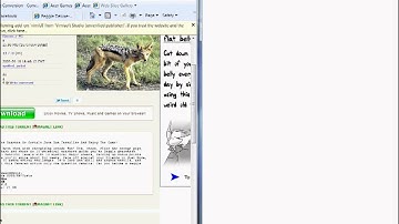 peer sharing for dummies