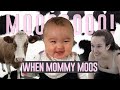 Baby Pekoe Laughs When Mommy Moos