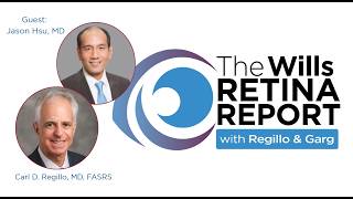 Navigating the Port Delivery System: Safety, data & utilization | Wills Retina Report