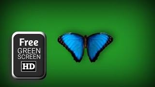Blue butterfly green screen video effects| green screen butterfly animation | butterfly green screen