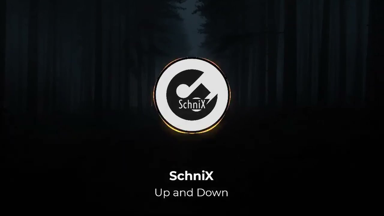 Up and Down - SchniX (Lyric Video)
