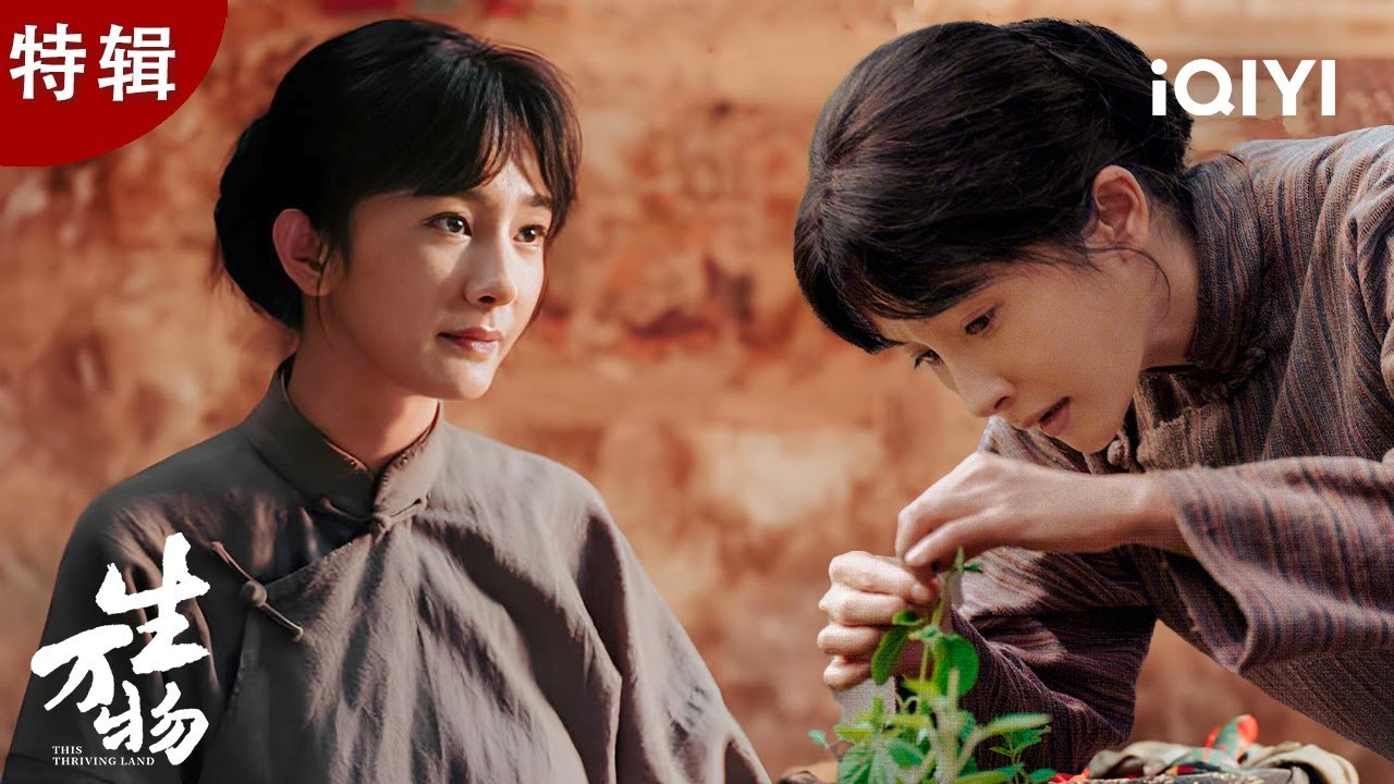 杨幂特辑】父母不救，竹马恋人另娶他人，杨幂一夜之间被全世界抛弃