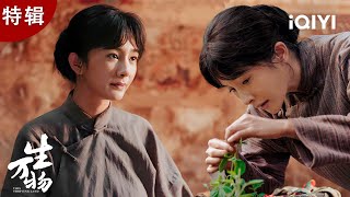 杨幂特辑】父母不救，竹马恋人另娶他人，杨幂一夜之间被全世界抛弃