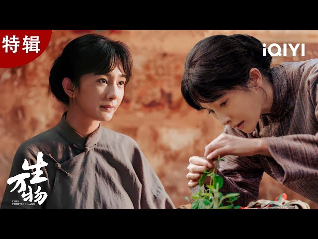 杨幂特辑】父母不救，竹马恋人另娶他人，杨幂一夜之间被全世界抛弃