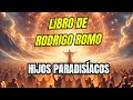 RODRIGO ROMO LIBRO LOS SIETE SAMURAIS Doblado Al Castellano 