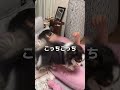目のやり場に困ります