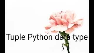 Python Tuples Data Type   Tuples Data Type   Tuples vs Lists   Features of python tuple data type