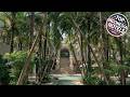La Santa Rosa | Bali, Indonesia | Hotel Review ⭐