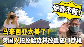 马来西亚的原始森林被英国人改造成印钞机 ｜ 半山火锅店里有变色龙，尖嘴鳄，用肺呼吸的鱼？