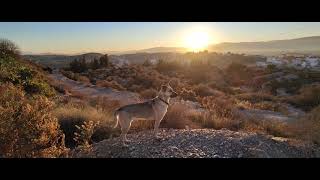 Salida de sol en el campico en JavaliViejo (Murcia)