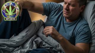 Melatonin & Cannabis: Genius Sleep Hack or Groggy Mistakes @wwpgenetics