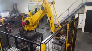 Almond Case Pallet-Bot Elite Robotic Palletizer TransAutomation TEch