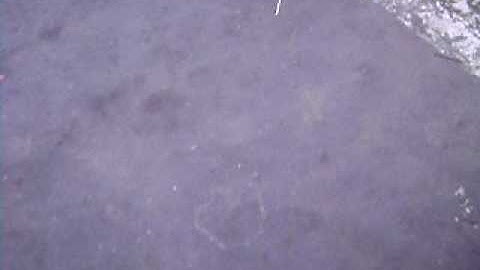 HK450 First flight first crash