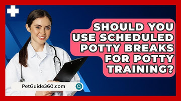 Should You Use Scheduled Potty Breaks For Potty Training? - PetGuide360.com
