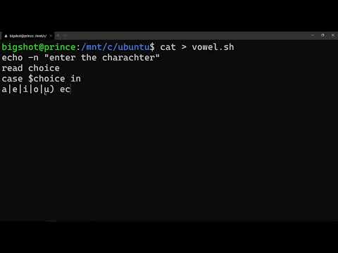 Vowel or Consonant Shell Programming | os | 4th sem cse | operating system lab | QT