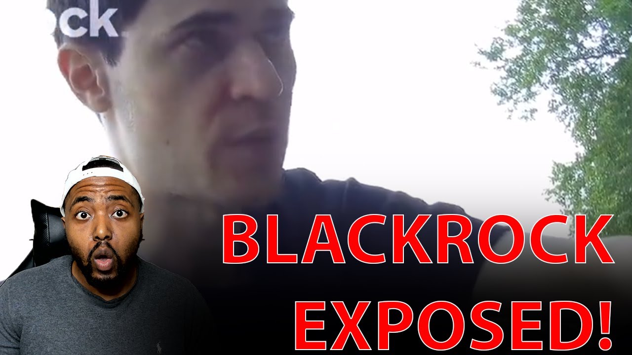 BlackRock Employee Who ‘Decides People’s Fate’ EXPOSES Company And How They Control The World!