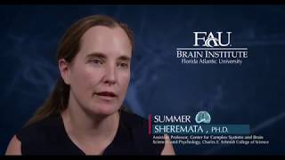 FAU Faculty Vignette – Summer Sheremata, Ph.D.
