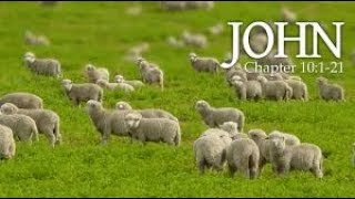 John 10: DeCalvinized pt1
