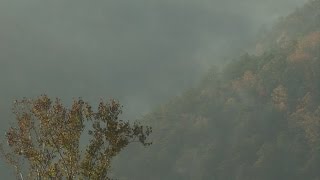 TN s pledge to prosecute arsonists as 15 000 acres burn